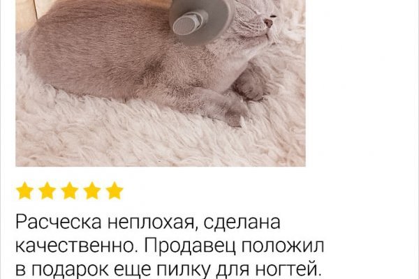 Рабочее зеркало кракен