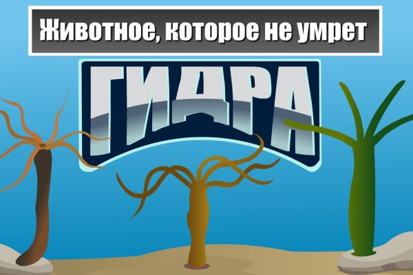 Даркнет заказ