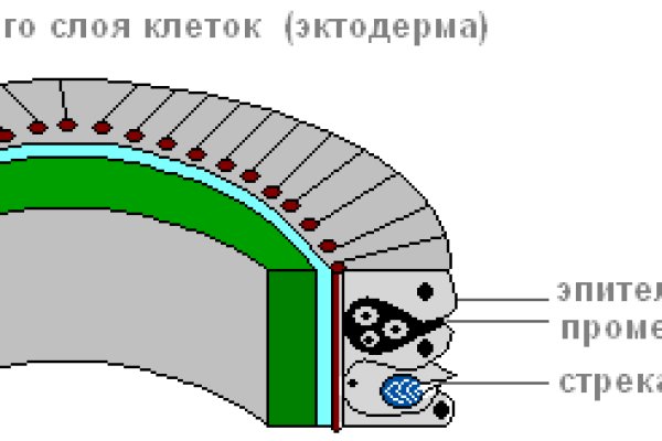 Кракен обход