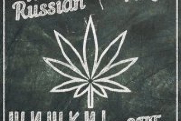 Ссылка кракен не работает
